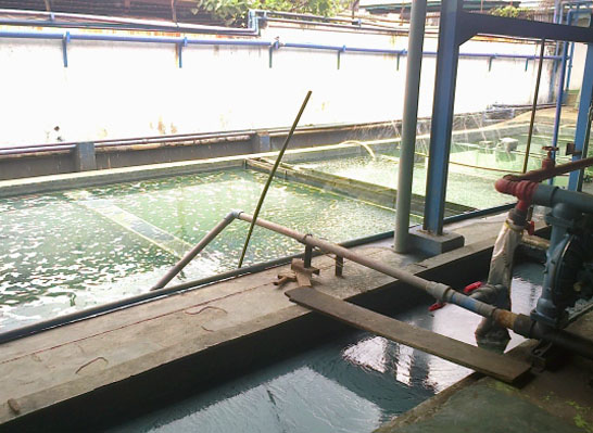 PT Onrahardja Hydro Utama